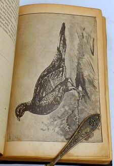 KALENDARZ MYŚLIWSKI ILUSTROWANY NA ROK 1893[-1897] [5 kalendarzy w 1 wol.]. - 27