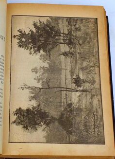 KALENDARZ MYŚLIWSKI ILUSTROWANY NA ROK 1893[-1897] [5 kalendarzy w 1 wol.]. - 29