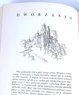 ŻEROMSKI - POPIOŁY t. I-II (komplet) wyd. 1928 akwarele Boruciński, ilustracje Bartłomiejczyk - 10