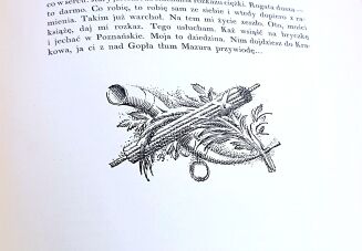 ŻEROMSKI - POPIOŁY t. I-II (komplet) wyd. 1928 akwarele Boruciński, ilustracje Bartłomiejczyk - 26