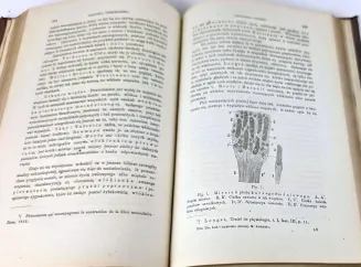 RICHET - ANATOMIA CHIRURGICZNA t.1, 1876 - 3