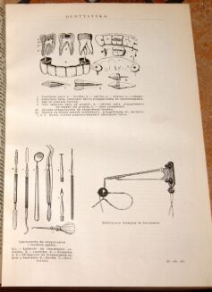 Encyklopedja Powszechna ULTIMA THULE mapy, rysunki, tablice TOM I-IX - 14