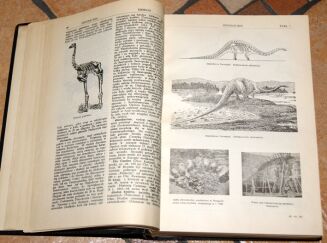 Encyklopedja Powszechna ULTIMA THULE mapy, rysunki, tablice TOM I-IX - 15