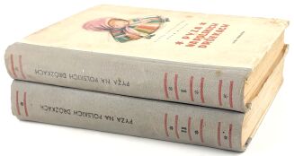 JANUSZEWSKA- PYZA NA POLSKICH DRÓŻKACH cz. 1-2 - 3