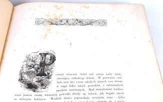 KRASZEWSKI- STARA BAŚŃ wyd.1879r.il. Andriolli OPRAWA WYDAWNICZA Folio - 4