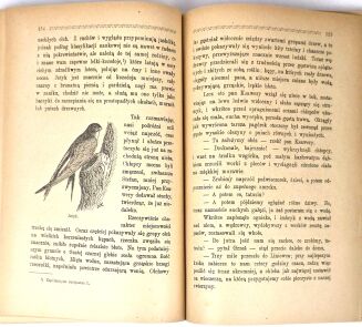 KORSAK - NA TROPIE PRZYRODY ilustr. autora - 5