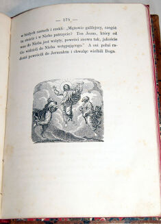 SERWATOWSKI- DZIEJE STAREGO I NOWEGO TESTAMENTU wyd. 1861 ręcznie kolorowane ryciny - 13