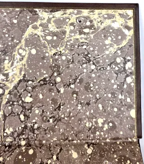 KOZUBOWSKI - RÓŻNE SPOSOBY SZCZEPIENIA DRZEW OWOCOWYCH I NARZĘDZIA OGRODNICZE DO TEGO POTRZEBNE wyd. 1878, 8 tablic chromolitografowanych - 5