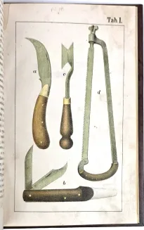 KOZUBOWSKI - RÓŻNE SPOSOBY SZCZEPIENIA DRZEW OWOCOWYCH I NARZĘDZIA OGRODNICZE DO TEGO POTRZEBNE wyd. 1878, 8 tablic chromolitografowanych - 10
