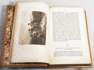 DZIEKOŃSKI- ŻYCIE NAPOLEONA Podług Najlepszych Źródeł t.1-2 (komplet w 2 wol.) 24 staloryty wyd. 1841    - 6