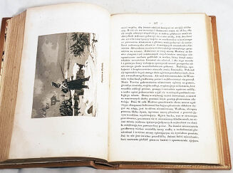 DZIEKOŃSKI- ŻYCIE NAPOLEONA Podług Najlepszych Źródeł t.1-2 (komplet w 2 wol.) 24 staloryty wyd. 1841    - 12