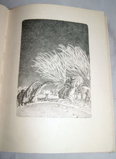ŻEROMSKI - POPIOŁY t. I-II (komplet) wyd. 1928 akwarele Boruciński, ilustracje Bartłomiejczyk - 14