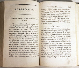 LUBOMIRSKI- OBRAZ HISTORYCZNO-STATYSTYCZNY WIEDNIA.Oryginalnie 1815 r. wystawiony. Z planem tegoż miasta - 5