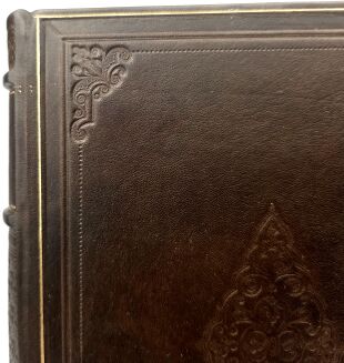 SWIFT - PODRÓŻE GULIWERA skóra - 2