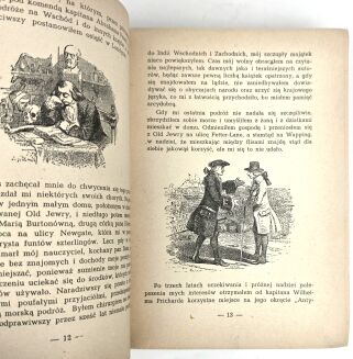 SWIFT - PODRÓŻE GULIWERA skóra - 13