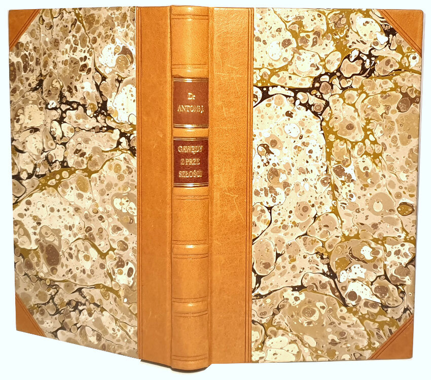DR. ANTONI J. (ROLLE) -  DWIE GAWĘDY Z PRZESZŁOŚCI wyd. 1893