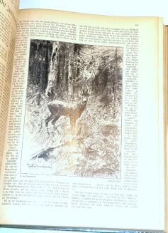 DER DEUTSCHE JÄGER. R.1932 [54] - 4