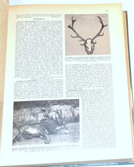 DER DEUTSCHE JÄGER. R.1932 [54] - 6