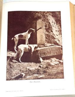 DER DEUTSCHE JÄGER. R.1932 [54] - 9