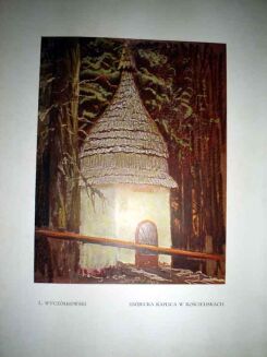 TETMAJER- NA SKALNEM PODHALU wyd. 1913. ILUSTRACJE LEONA WYCZÓŁKOWSKIEGO - 5