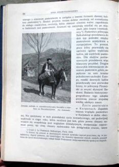 WIERCHY Rocznik poświęcony górom i góralszczyźnie ROK VII wyd. 1929r.Oprawa JAHODY - 8