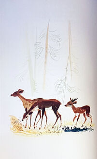 KIERST- DWIE WIEWIÓRKI ilustr. Szancer 1962r. - 7