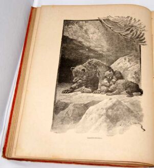 WITKIEWICZ - NA PRZEŁĘCZY wyd.1891r. OPRAWA WYDAWNICZA drzeworyty - 10