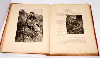 WITKIEWICZ - NA PRZEŁĘCZY wyd.1891r. OPRAWA WYDAWNICZA drzeworyty - 11