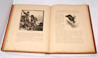 WITKIEWICZ - NA PRZEŁĘCZY wyd.1891r. OPRAWA WYDAWNICZA drzeworyty - 6