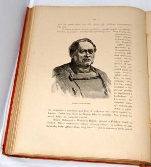 WITKIEWICZ - NA PRZEŁĘCZY wyd.1891r. OPRAWA WYDAWNICZA drzeworyty - 9