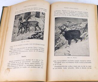 KAMOCKI- PODRĘCZNIK ŁOWIECTWA wyd. 1927 - 7
