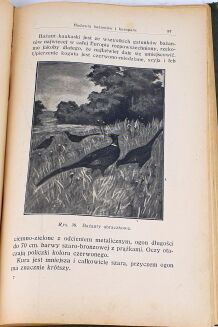KAMOCKI- PODRĘCZNIK ŁOWIECTWA wyd. 1927 - 8