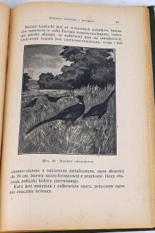 KAMOCKI- PODRĘCZNIK ŁOWIECTWA wyd. 1927 - 9