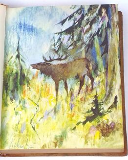 [OPRAWA HELENY KARPIŃSKIEJ] OSSENDOWSKI- KARPATY z cyklu CUDA POLSKI oryginał - 6