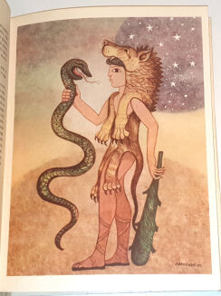 HAWTHORNE - OPOWIEŚCI Z ZACZAROWANEGO LASU ilustr. Srokowski - 3