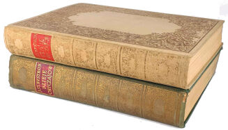 BYSTROŃ- DZIEJE OBYCZAJÓW W DAWNEJ POLSCE. WIEK XVI-XVIII setki ilustracji ZŁOTA OPRAWA - 2