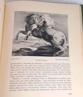 BYSTROŃ- DZIEJE OBYCZAJÓW W DAWNEJ POLSCE. WIEK XVI-XVIII setki ilustracji ZŁOTA OPRAWA - 15