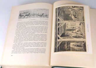 BYSTROŃ- DZIEJE OBYCZAJÓW W DAWNEJ POLSCE. WIEK XVI-XVIII setki ilustracji ZŁOTA OPRAWA - 16