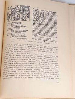 BYSTROŃ- DZIEJE OBYCZAJÓW W DAWNEJ POLSCE. WIEK XVI-XVIII setki ilustracji ZŁOTA OPRAWA - 26