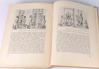 BYSTROŃ- DZIEJE OBYCZAJÓW W DAWNEJ POLSCE. WIEK XVI-XVIII setki ilustracji ZŁOTA OPRAWA - 30