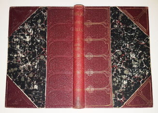 WIEK XIX Sto lat myśli polskiej Tom I-IX (komplet) wyd.1906r. OPRAWA - 5