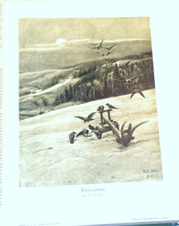 DER DEUTSCHE JÄGER. R.1931 [53] - 3