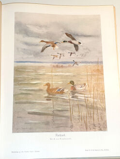 DER DEUTSCHE JÄGER. R.1931 [53] - 4