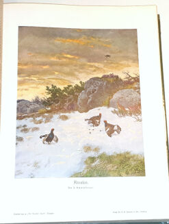 DER DEUTSCHE JÄGER. R.1931 [53] - 5