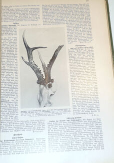 DER DEUTSCHE JÄGER. R.1931 [53] - 6