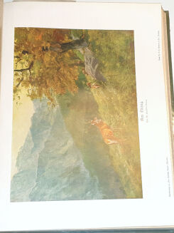 DER DEUTSCHE JÄGER. R.1931 [53] - 7