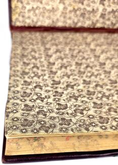 KRAUSHAR - ZAMEK KRÓLEWSKI W WARSZAWIE. ZARYS HISTORYCZNO-OBYCZAJOWY. Dekoracyjny półskórek - 8