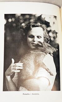 BIBLIOTEKA  PODRÓŻNICZA 14 woluminów OPRAWA mapy, ilustracje - 11