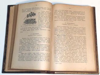 JANKOWSKI- OGRÓD WIEJSKI wyd. 1928r. - 4