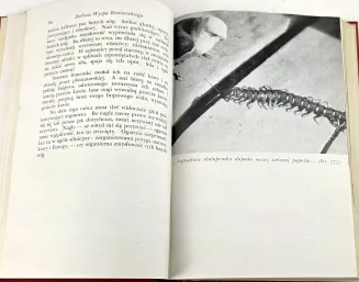 FIEDLER - ŻARLIWA WYSPA BENIOWSKIEGO Londyn 1944. Wyd.1 - 3